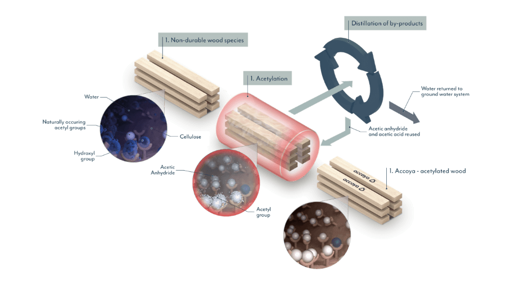 Accoya is produced using a patented acetylation process that modifies the timber at a molecular level.
